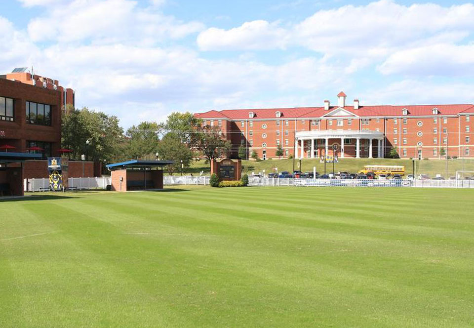 Soccer field